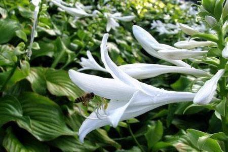 箕山之风
