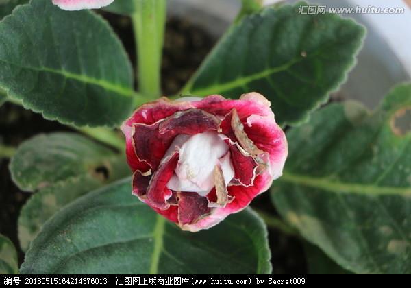 若合符节