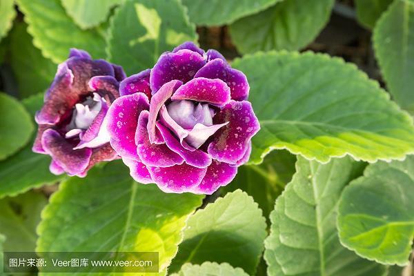 抱成一团