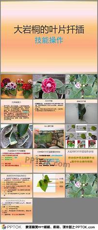 最经典的爱情句子98句