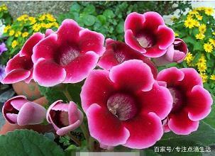 中流失舟，一壶千金