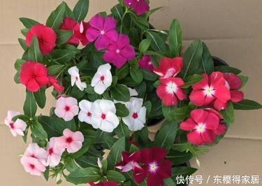 私相传授