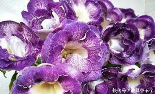 痛贯心膂