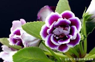 天理昭彰