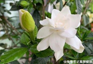 长痛不如短痛