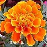披霄决汉