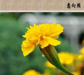 名列前茅