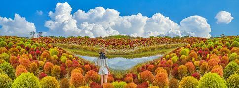 花说柳说