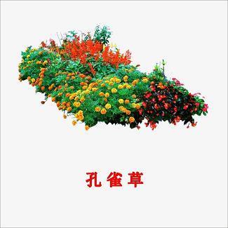 变幻无穷