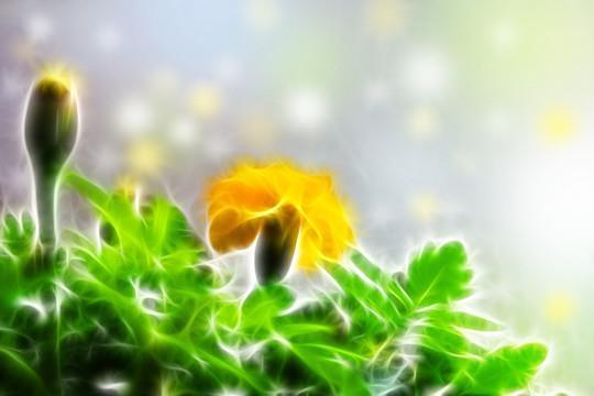 柳亸莺娇