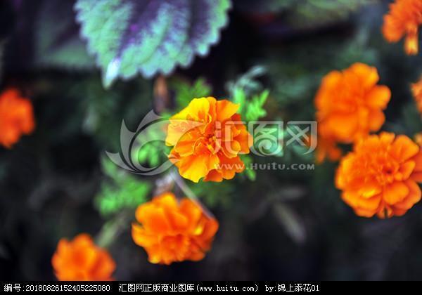 翻江搅海